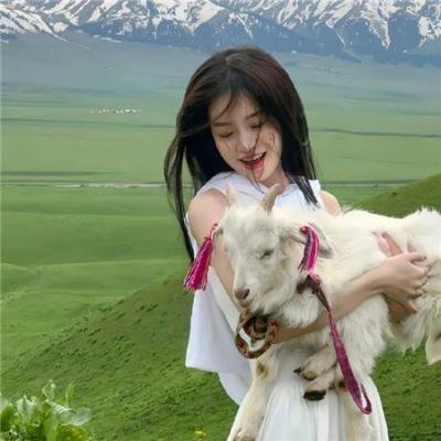 飞车歌舞三人组